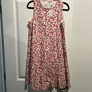 NWT J Crew Watermelon dress size 8